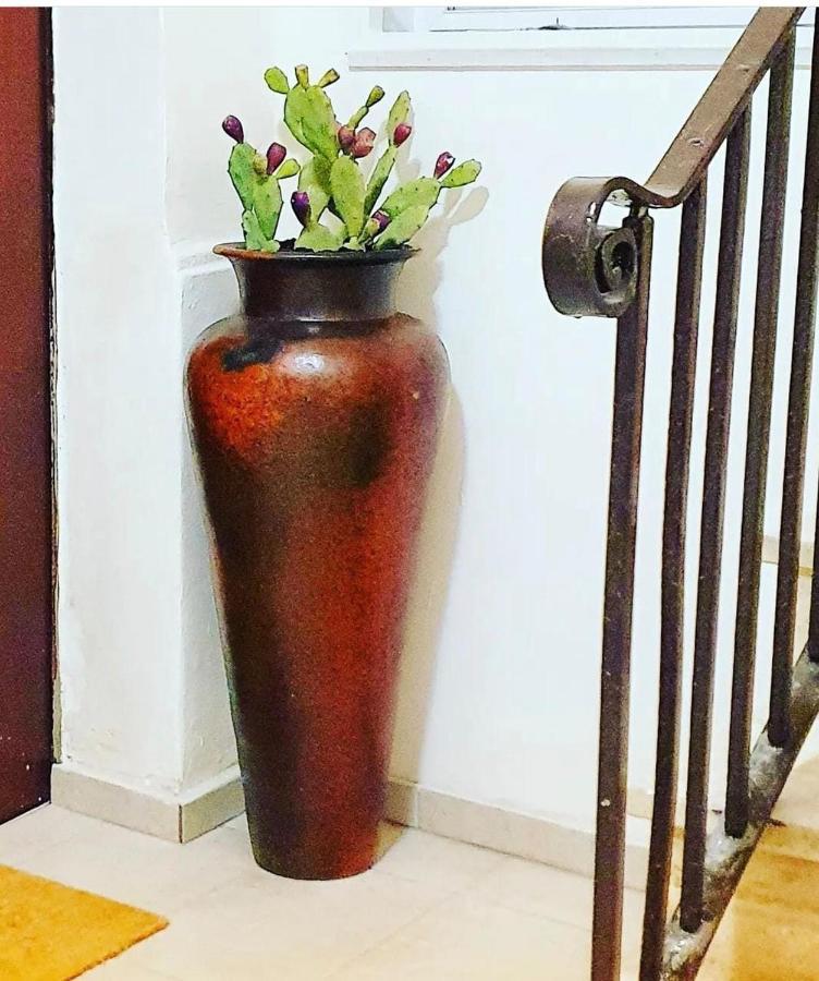 Amalo Guest House Bari Ngoại thất bức ảnh